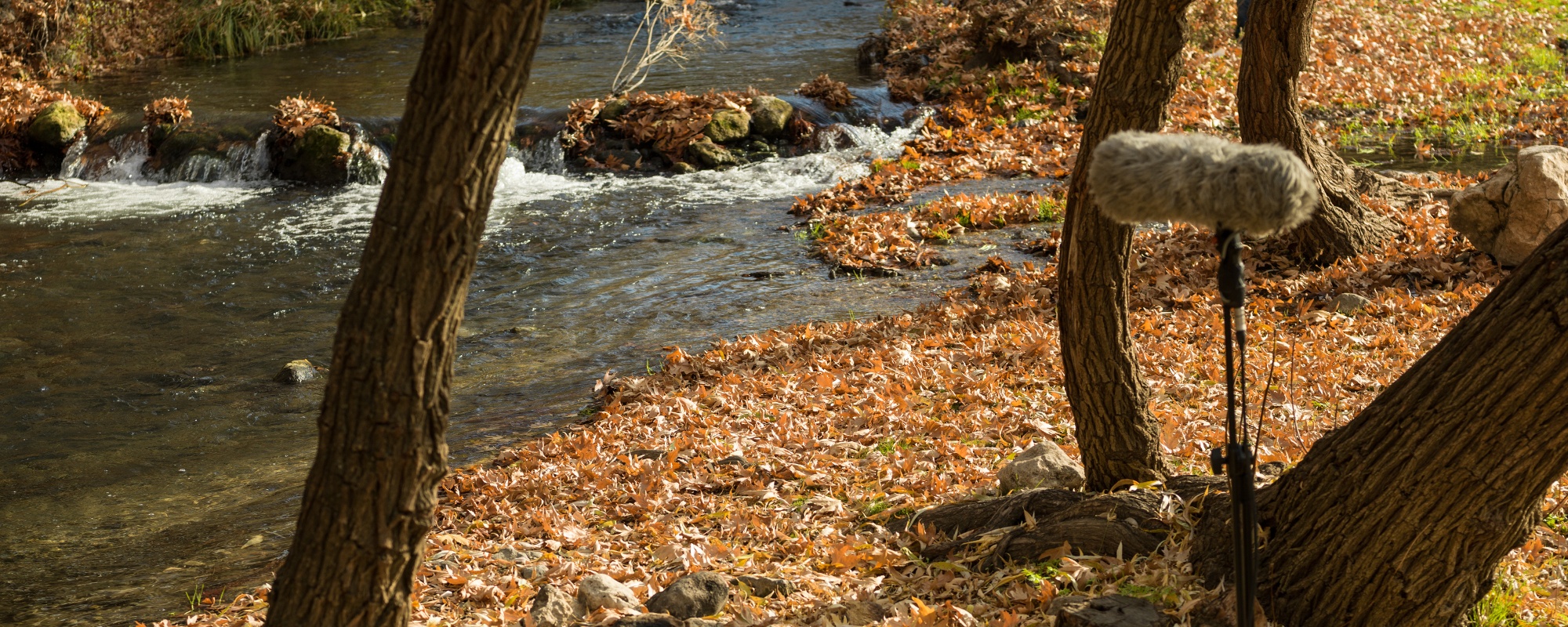 Boom_microphone_equipment_recording_location_sound_of_flowing_stream_in_nature Boom microphone equipment recording location sound of flowing stream in nature