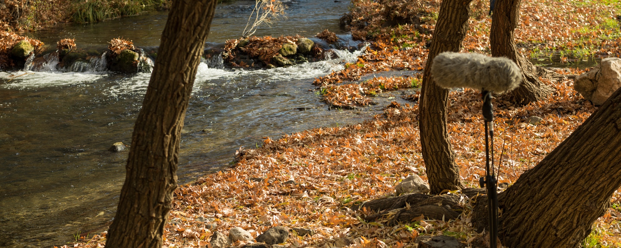 Boom microphone equipment recording location sound of flowing stream in nature