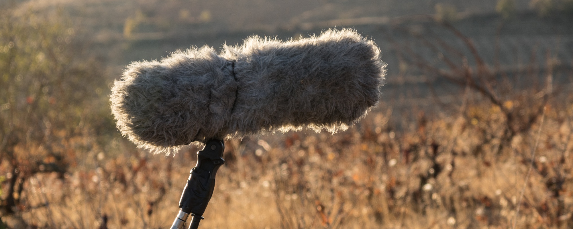 Closeup of boom microphone equipment used by location sound recordists for exterior film production