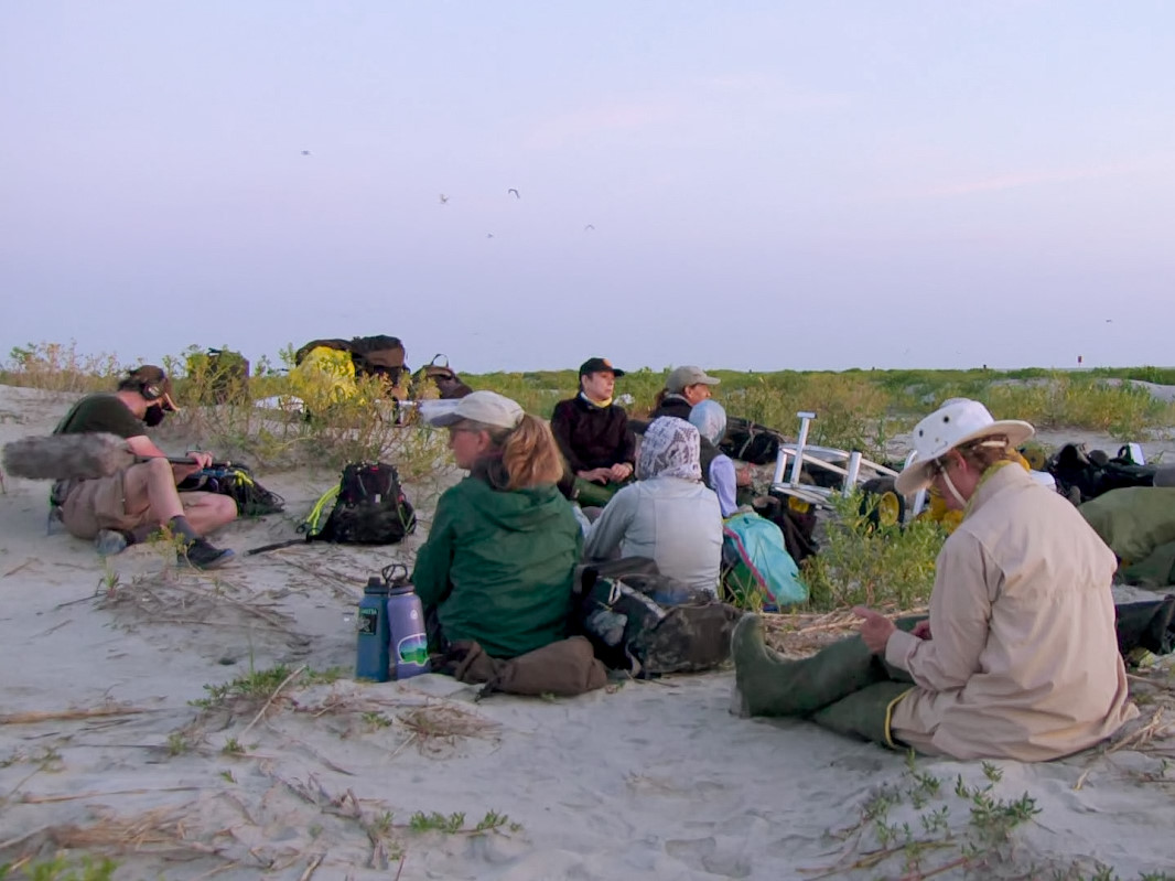 Dave Bilodeau location sound recordist behind the scenes on CBS Sunday Morning: The Whimbrel